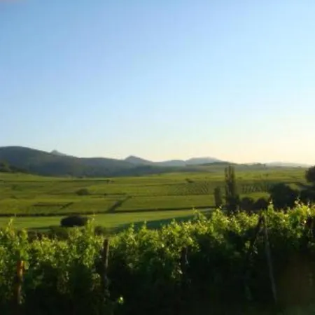 Apartamento Vue Sur Vignes Riquewihr Exterior foto