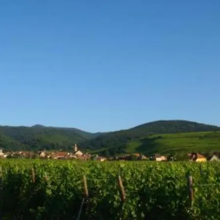 Apartamento Vue Sur Vignes Riquewihr Exterior foto