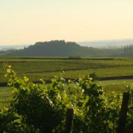 Apartamento Vue Sur Vignes Riquewihr Exterior foto