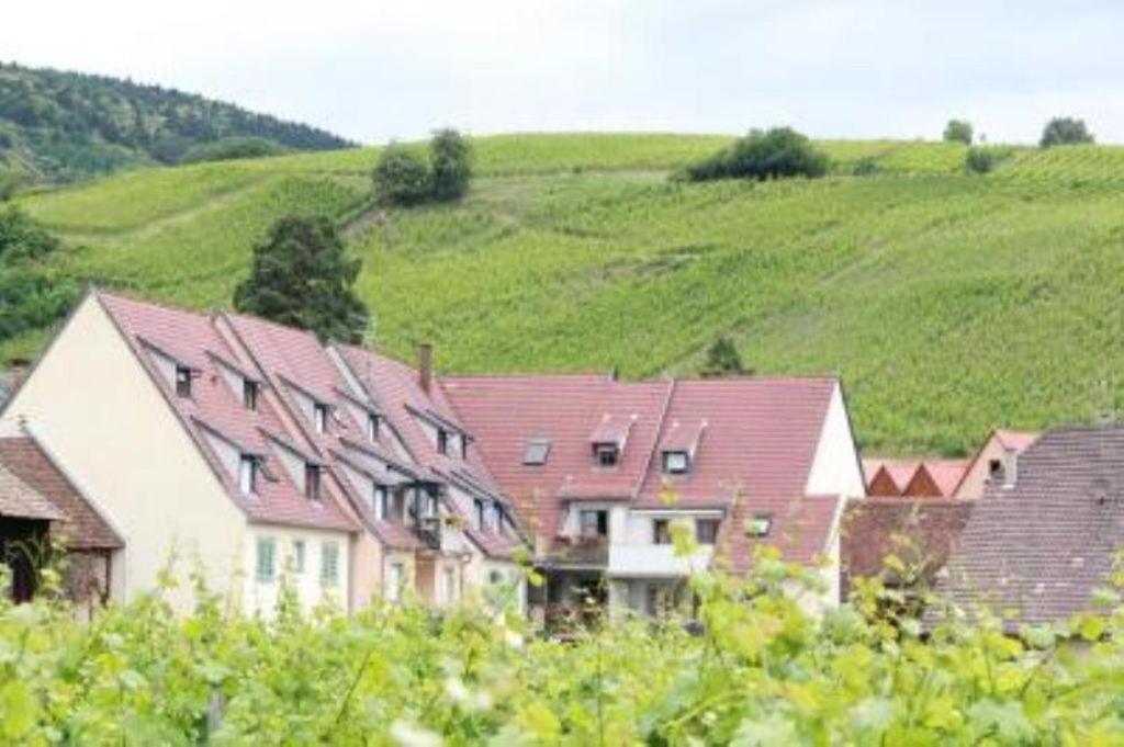 Vue Sur Vignes Apartment